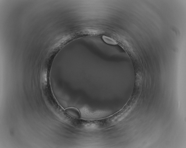X0000111020358200906261545