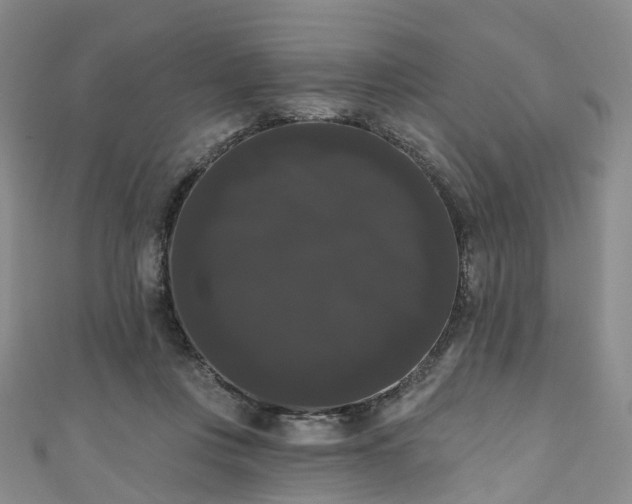 X0000111020359200906261545