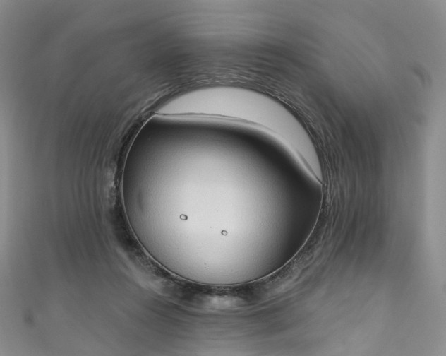 X0000111020360200906261545