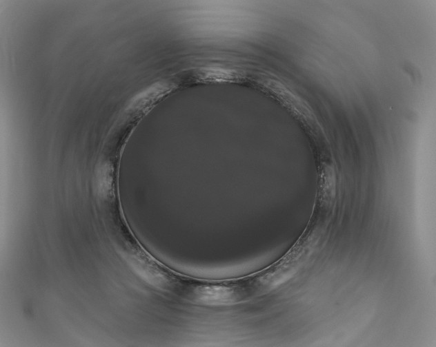 X0000111020361200906261545