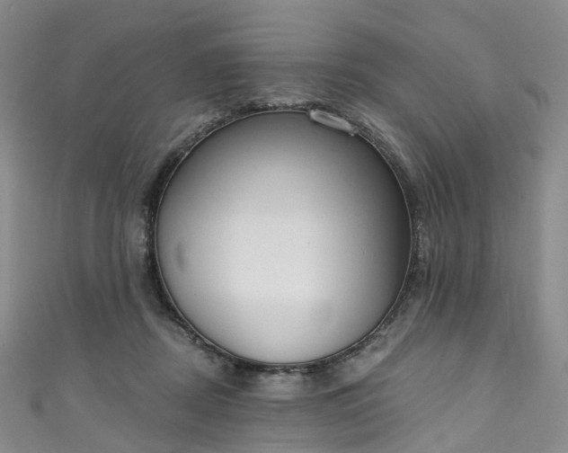 X0000111020362200906261545