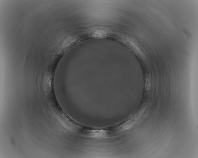 X0000111020363200906261545
