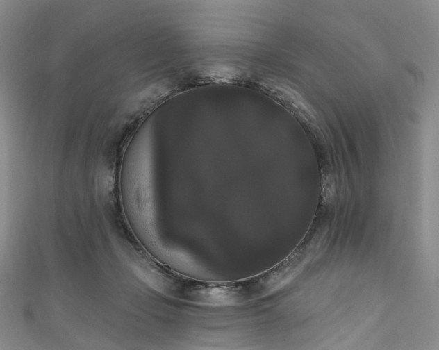 X0000111020365200906261545