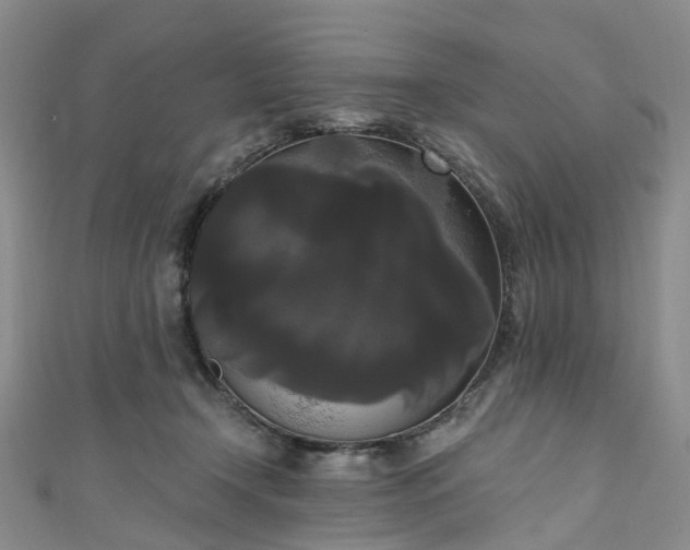 X0000111020366200906261545