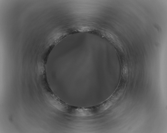 X0000111020367200906261545
