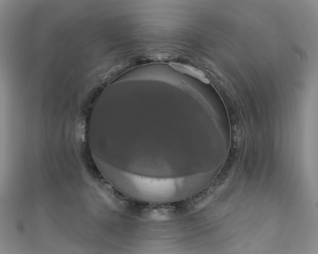 X0000111020368200906261545