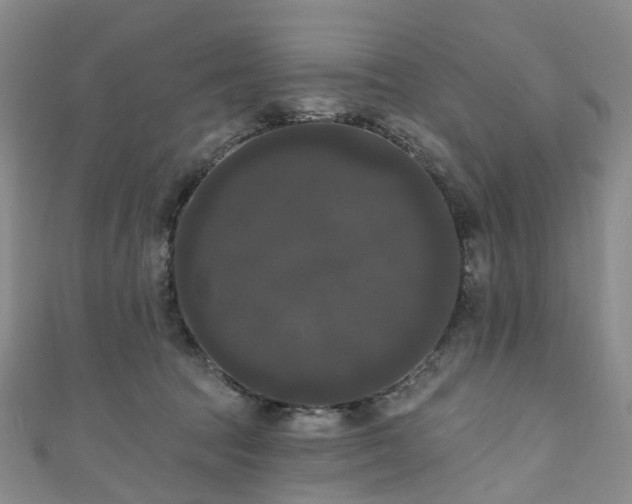 X0000111020369200906261545