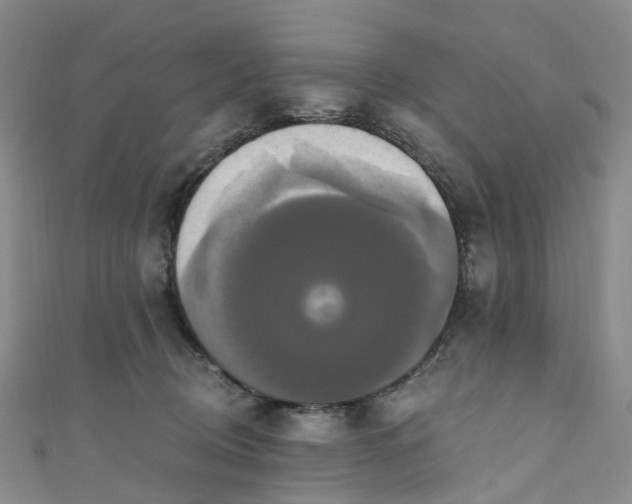 X0000111020370200906261545