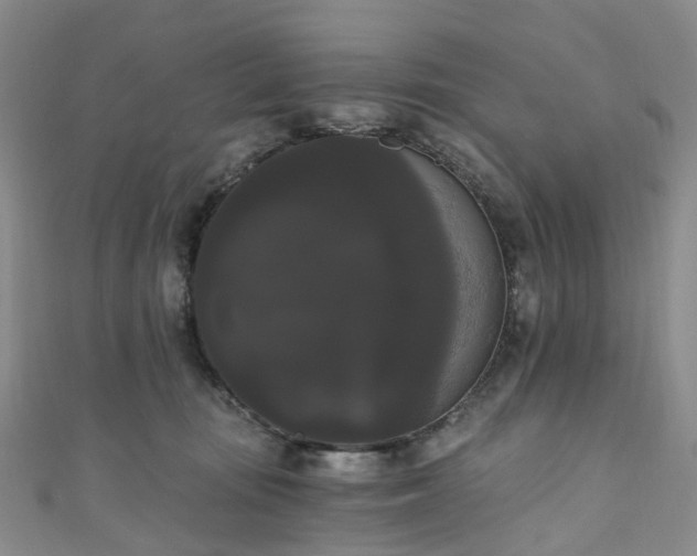 X0000111020371200906261545