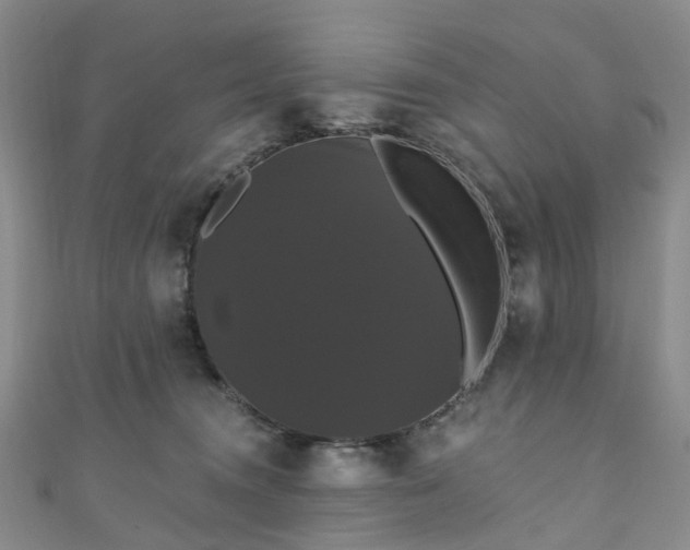 X0000111020372200906261545
