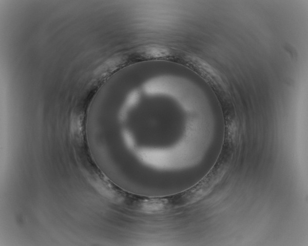 X0000111020373200906261545