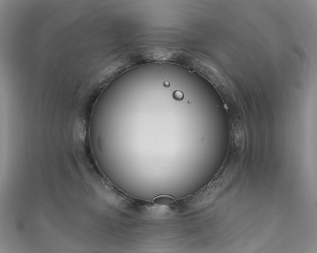 X0000111020374200906261545