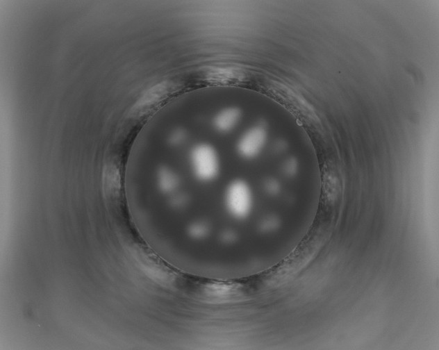 X0000111020375200906261545