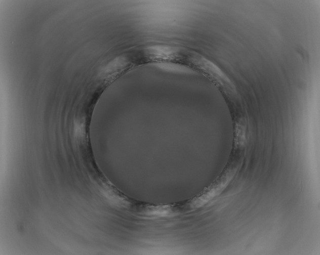 X0000111020377200906261546