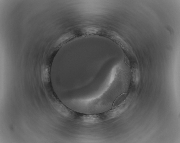 X0000111020378200906261546