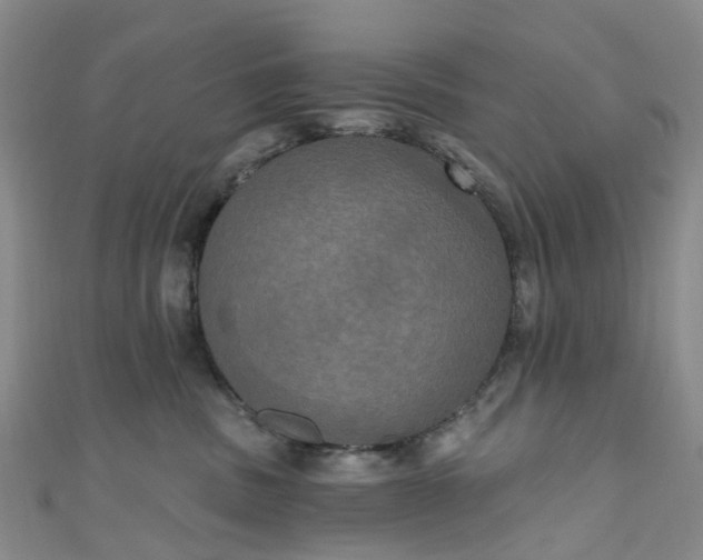 X0000111020379200906261546