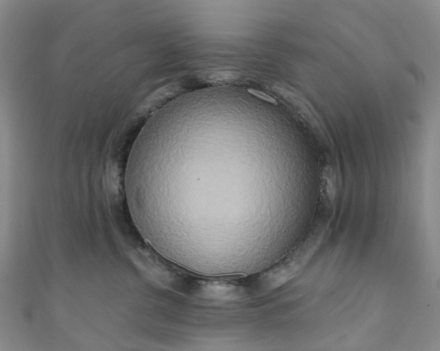X0000111020380200906261546