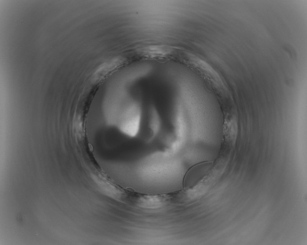 X0000111020381200906261546