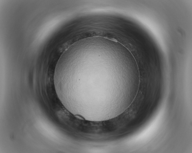 X0000111020382200906261546
