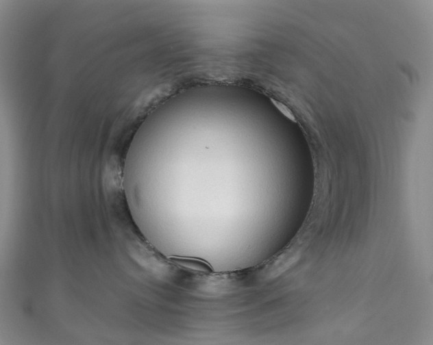 X0000111020384200906261546
