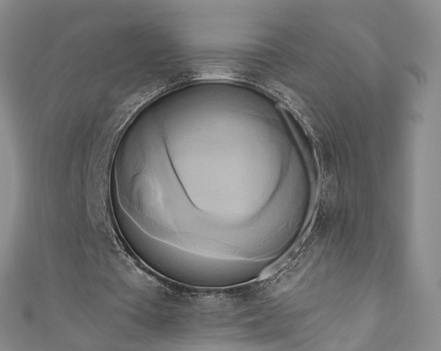 X0000111020385200906261545