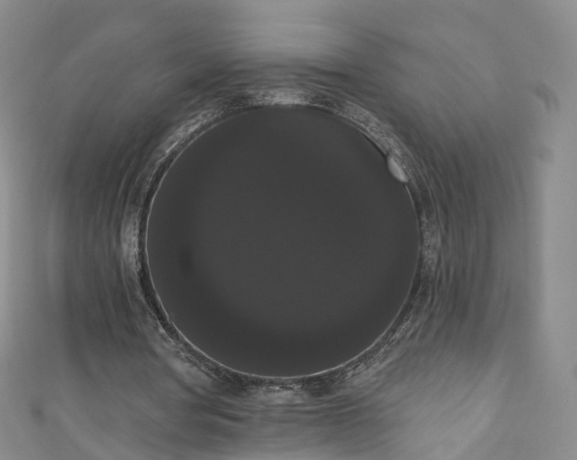 X0000111020386200906261545