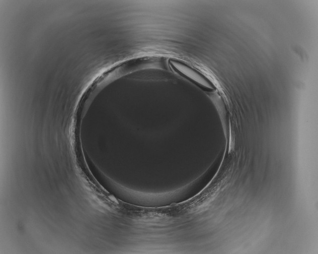 X0000111020387200906261545