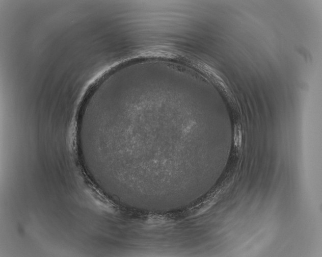 X0000111020388200906261545
