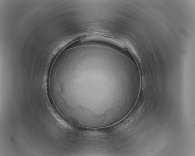 X0000111020389200906261545