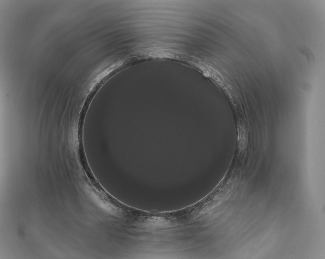 X0000111020390200906261545