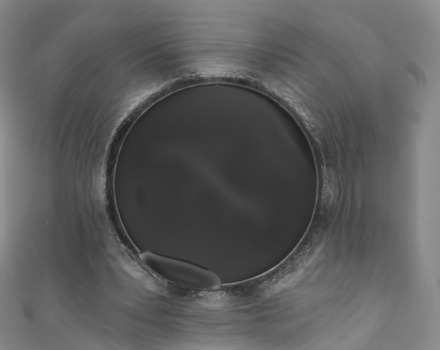 X0000111020391200906261545