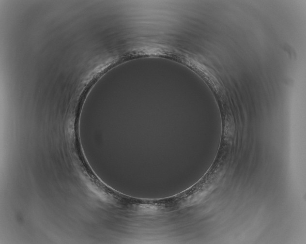 X0000111020394200906261545