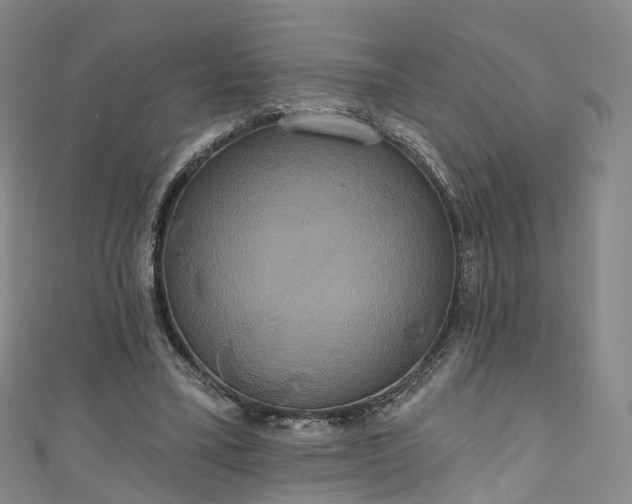 X0000111020395200906261545