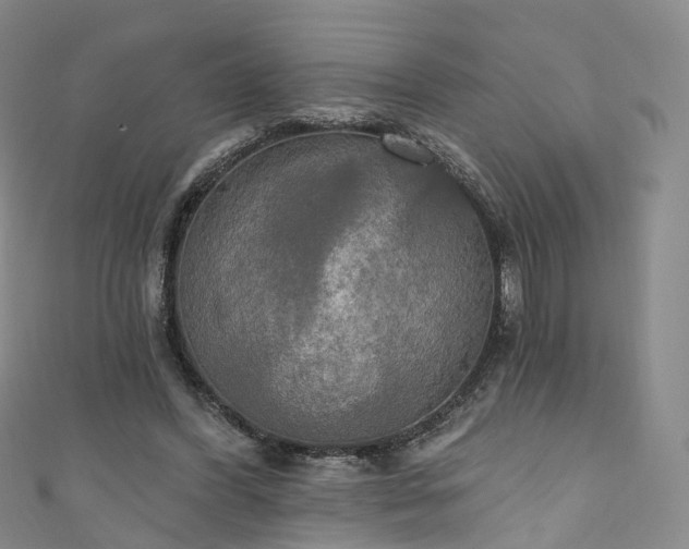 X0000111020396200906261545