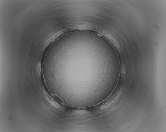 X0000111020397200906261545