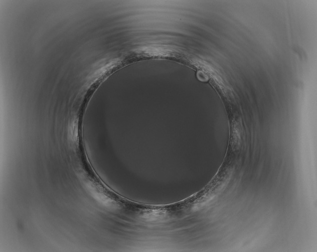 X0000111020398200906261545