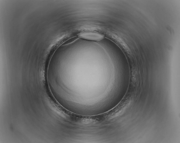 X0000111020399200906261545