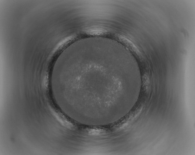 X0000111020400200906261545