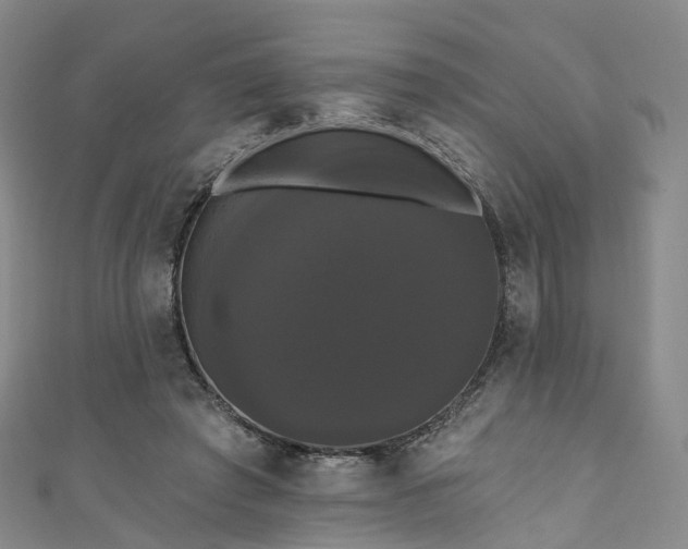 X0000111020401200906261545