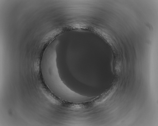 X0000111020402200906261545