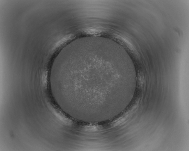 X0000111020404200906261545