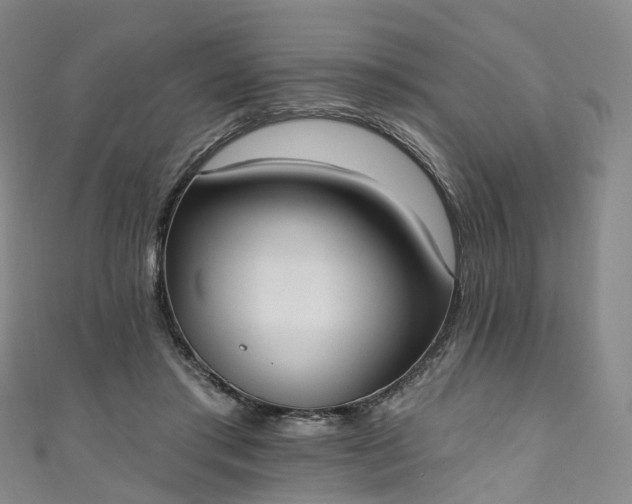 X0000111020405200906261545