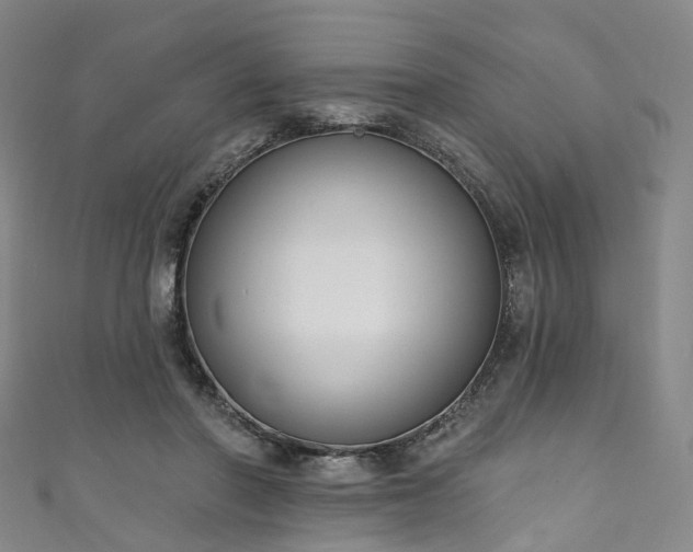 X0000111020406200906261545