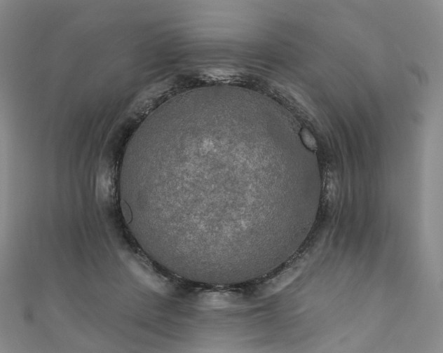 X0000111020408200906261545