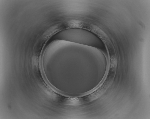 X0000111020409200906261545