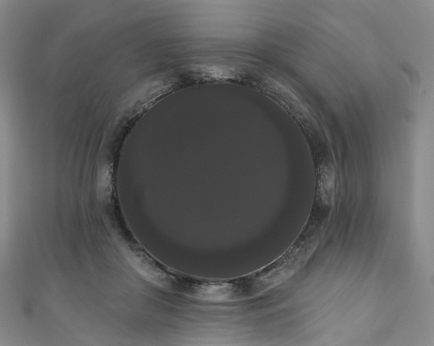 X0000111020410200906261545