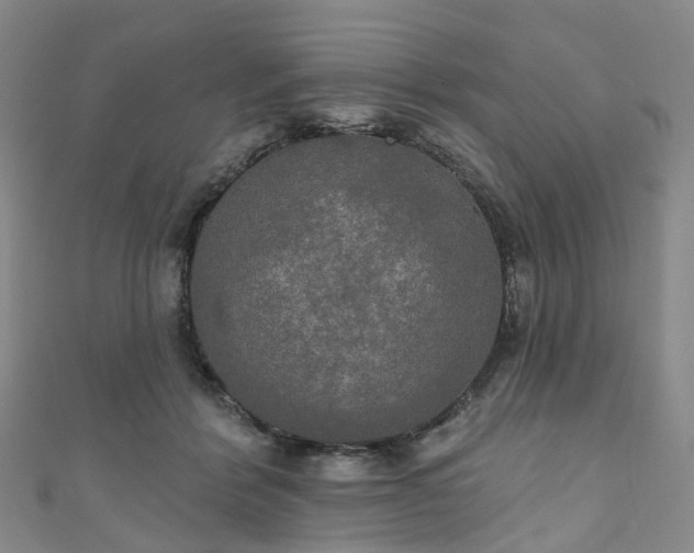 X0000111020412200906261545