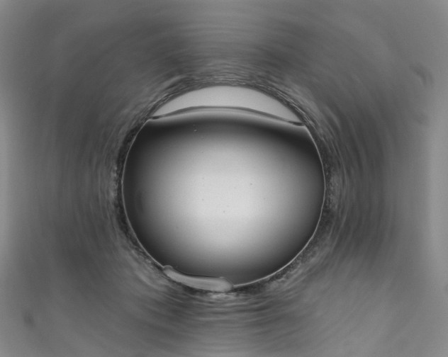 X0000111020413200906261545