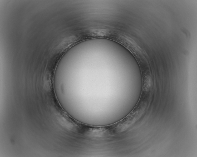 X0000111020414200906261545