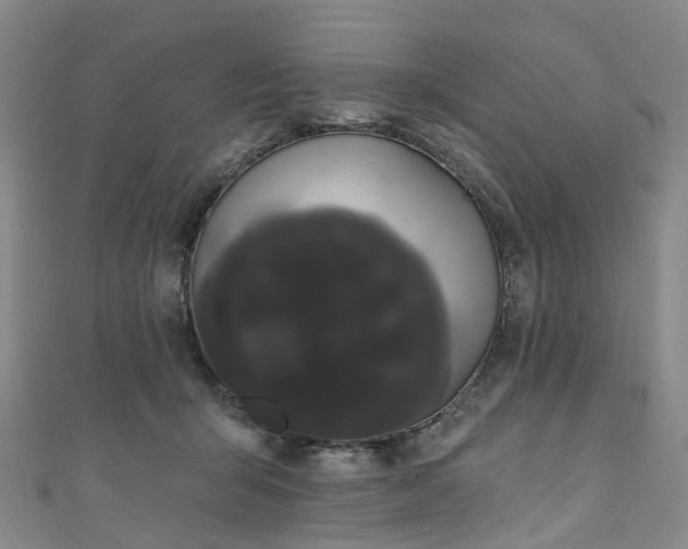 X0000111020415200906261545